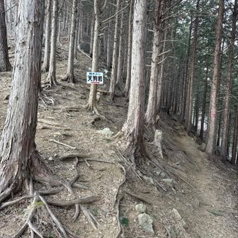 天狗岩に寄り道