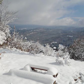 きゃ〜真っ白〜