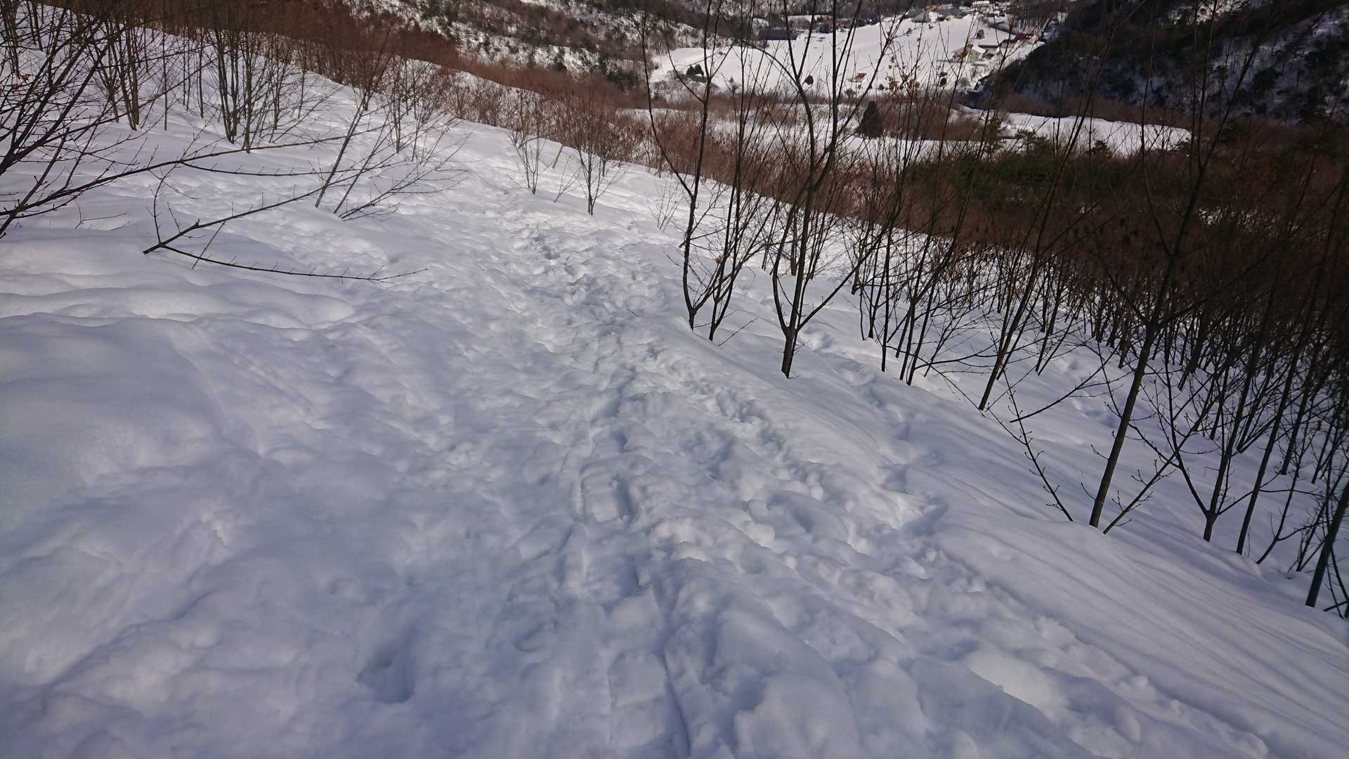 自分のトレース踏んで下りる。
結構沈んでてしんどそう。
登ってきた自分をヨシヨシ