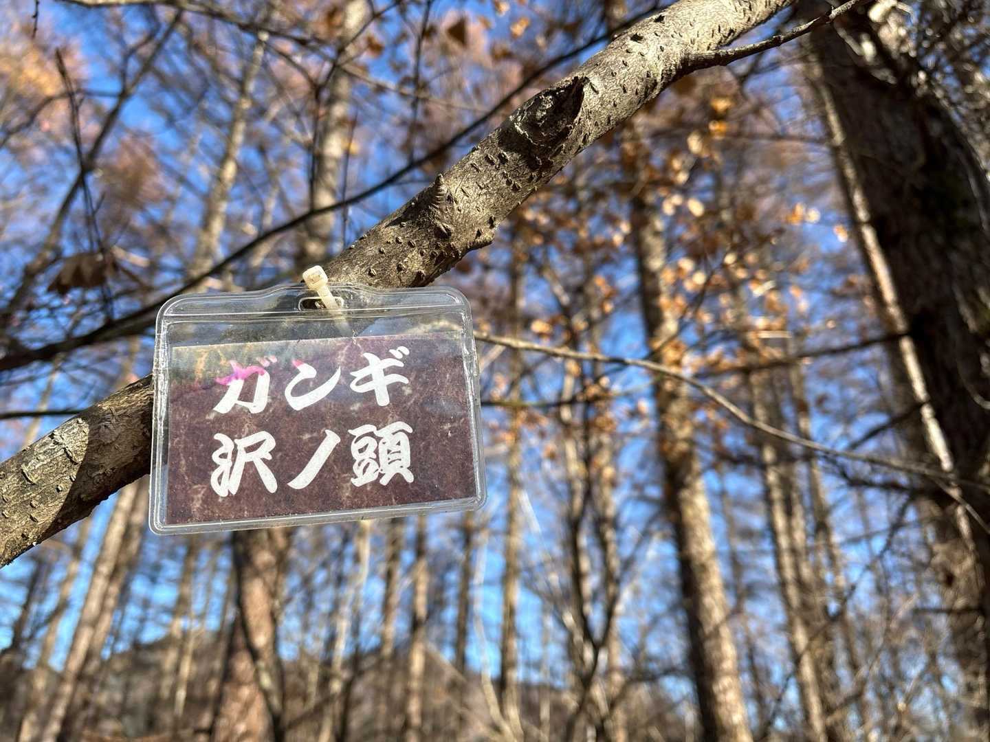 ガンギ沢ノ頭