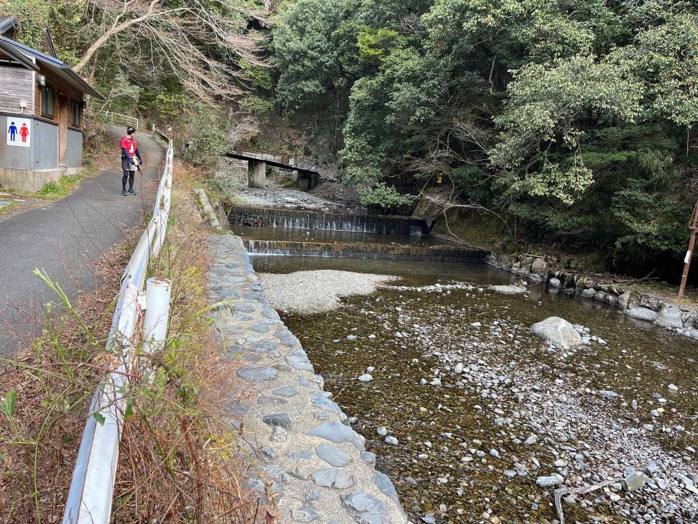 瀬音の森コースで登ります🏃‍♂️ 水の音が心地いい〜🎶