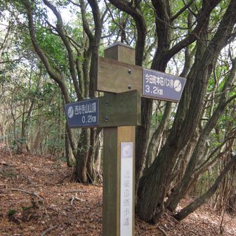 やしろ鴨川の郷へのルートなんて、書いてないし😇