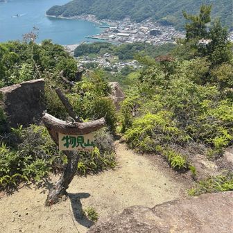 なのに、ズンズン下っていたら、分岐あり。テープ無いので、良い方の道の下へ❌
そろそろ山頂が近いはずなのに❓
YAMAP確認。
早めに気付き、シダっている細い道を上↑へ。大正解⭕️
何と、素晴らしい山頂に出ました👏