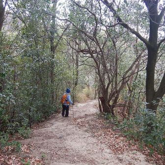 2つ目の鉄塔からはいわゆる関電道でした