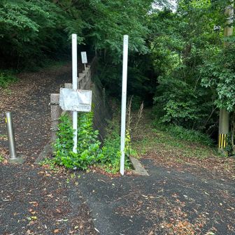 正面から行くか
右の里山ルートで行くか
迷いましたが、ココは右→