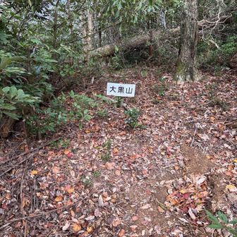 ここも何も無い…。