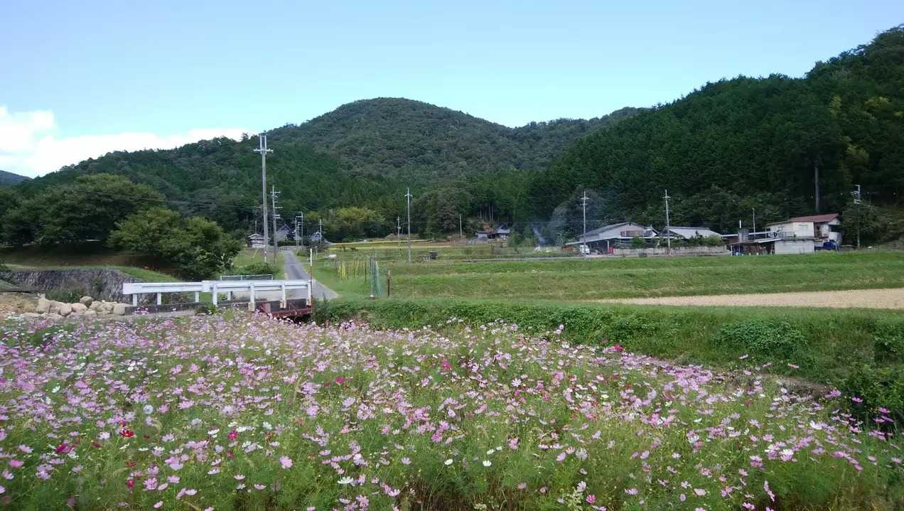 高岳（大阪府）の写真