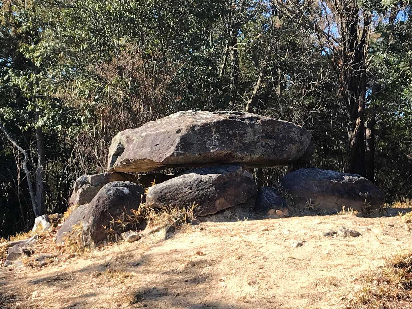 サクッと亀岩到着🐢🪨
いや！ホンマに亀さんやん！😳

『どこが○○？😅』っていうのが多い中、これはたしかに亀だわ🐢