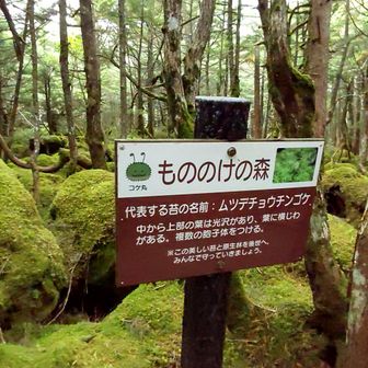 白駒の池周回しました