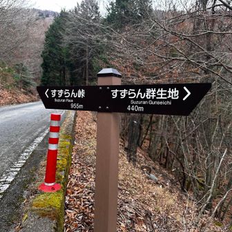 バスの通る舗装道路をテクテク歩いてきたけど、
ここからまた山道ですずらん群生地まで