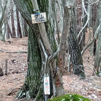 今日の最高峰👹