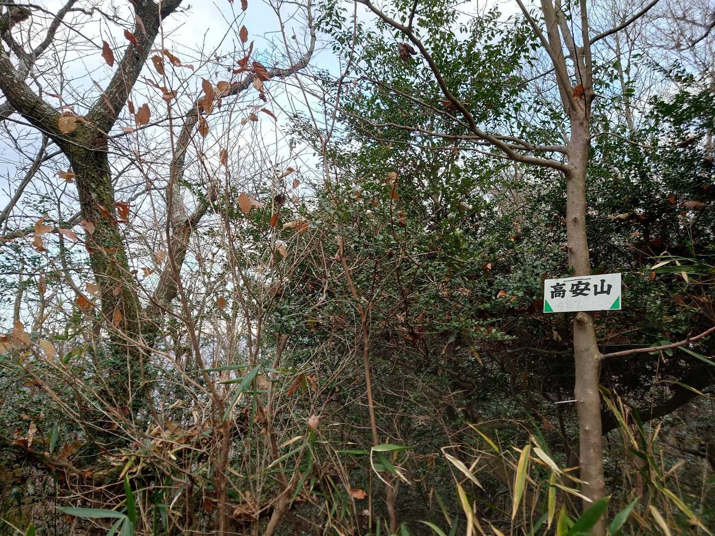 山頂は展望なしでした😅