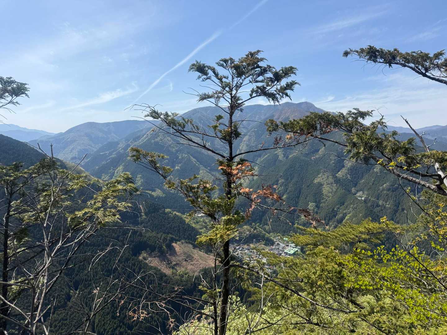 指沢山-惣岳山-御前山-クロノ尾山-鞘口山-愛宕山-奥多摩 縦走コースの写真