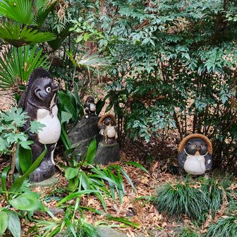 こんにちは👋😃小仏峠の名物タヌキ様