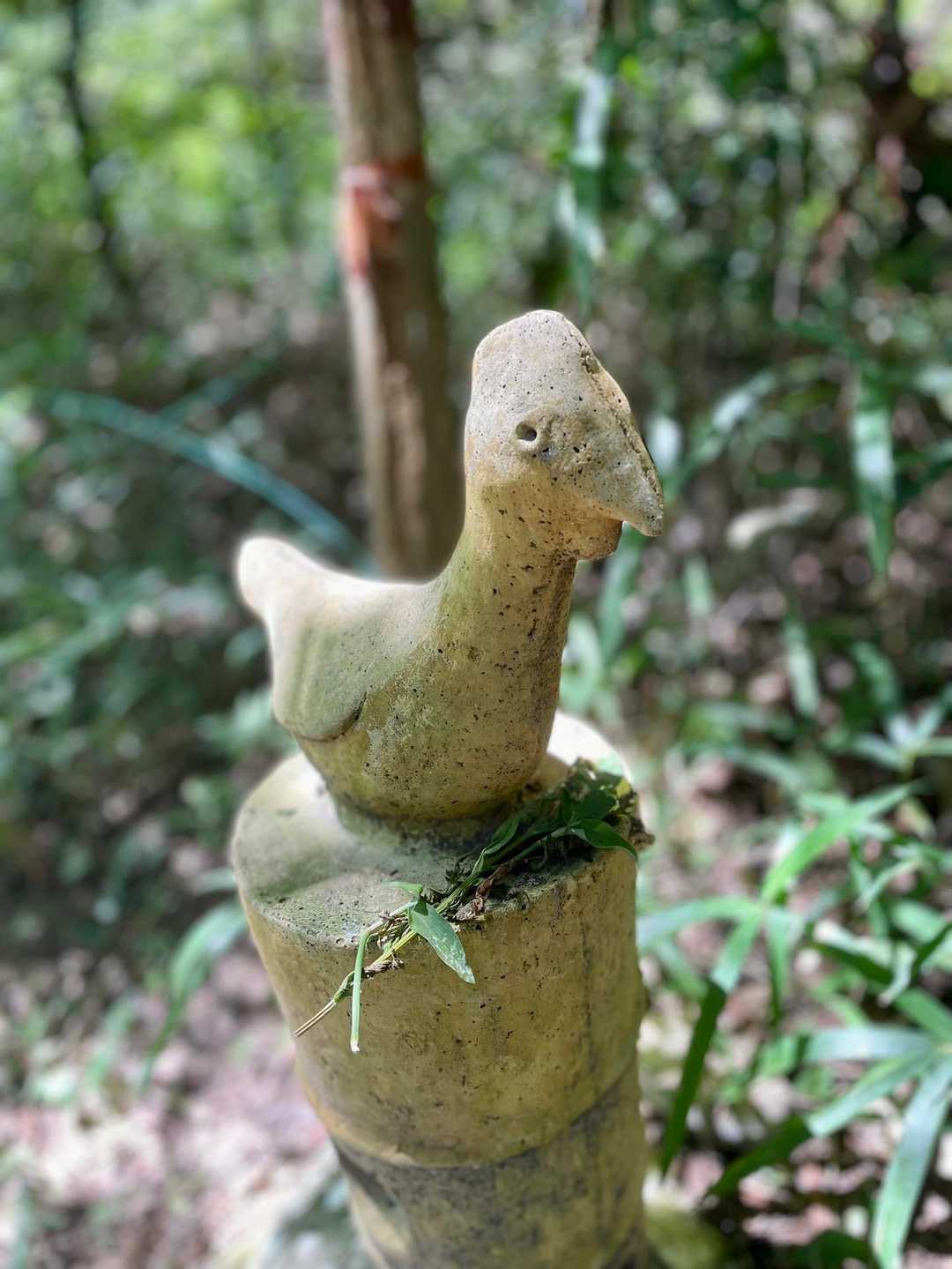 無事の下山に感謝🙏✨🙏
