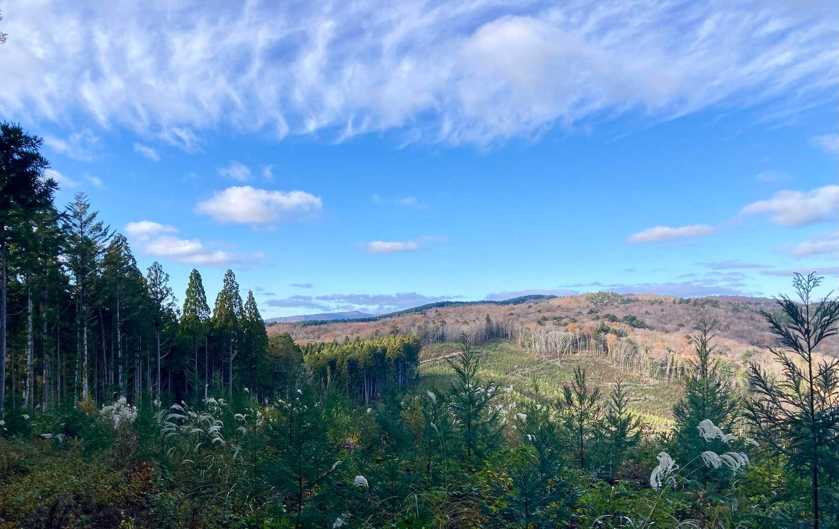 正面の山の肩越しに見えるのは、何山だろ？