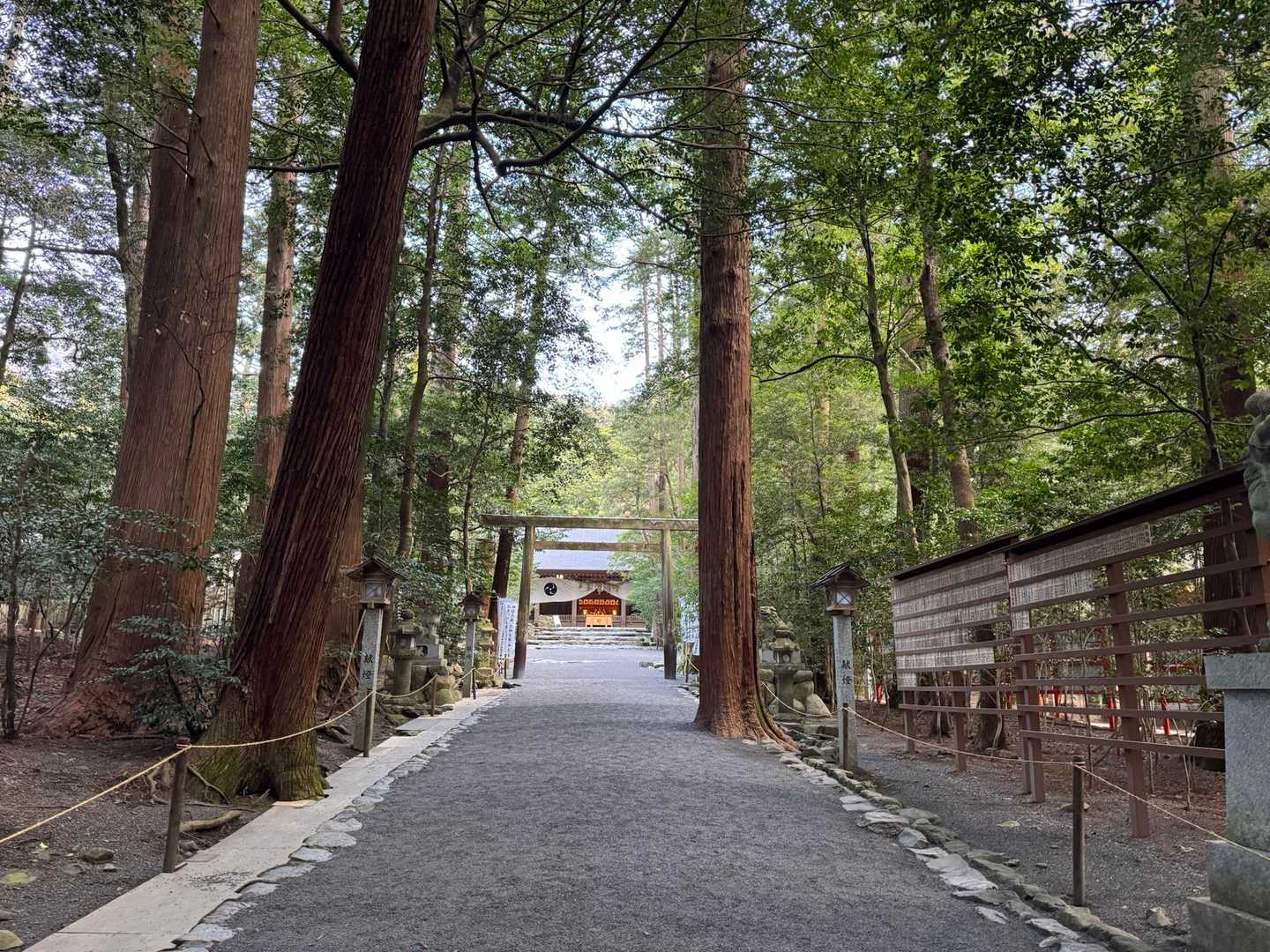 先ずは参拝
朝の神社⛩️は清々しく心洗われます✨