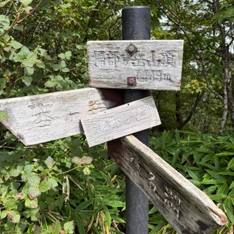 掃部ヶ岳に到着🙌
休もうと思ったけど虫にたかられて🪰退散
トンボも多かったけどね☺️