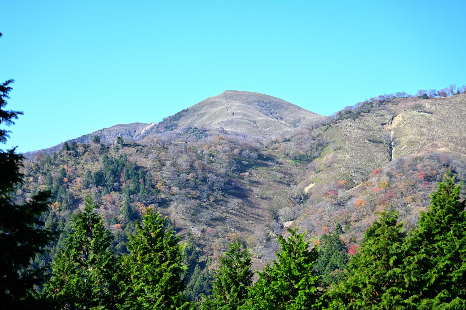 目指す竜ヶ岳山頂