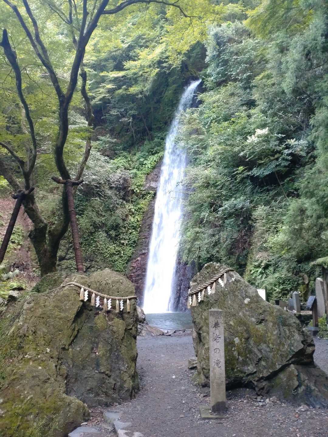 養老の滝で、涼む。