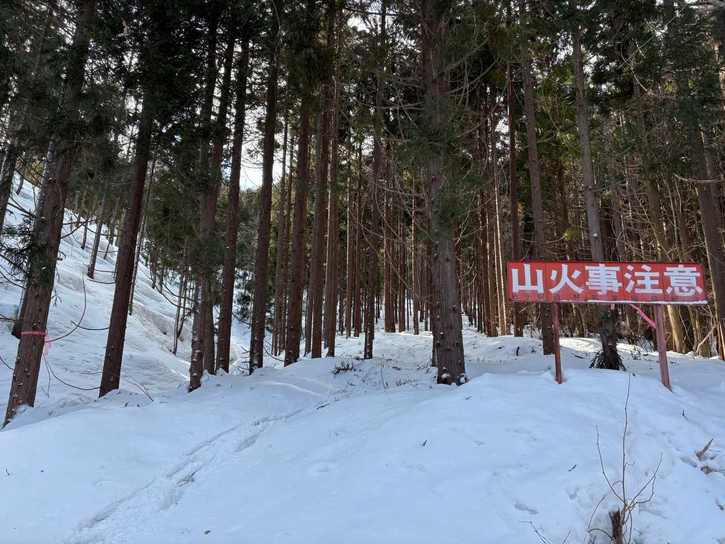帰り道降りて来たこの場所、山火事注意⚠️の看板を右に行くのだった。