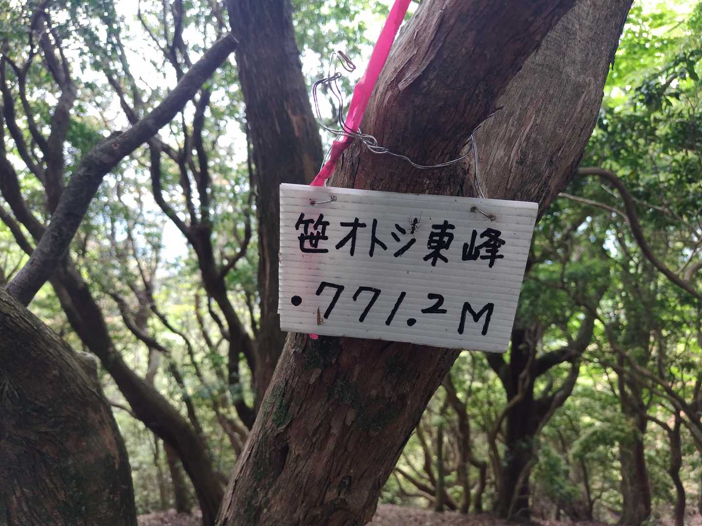 笹オトシ（東峰）に到着～😊
