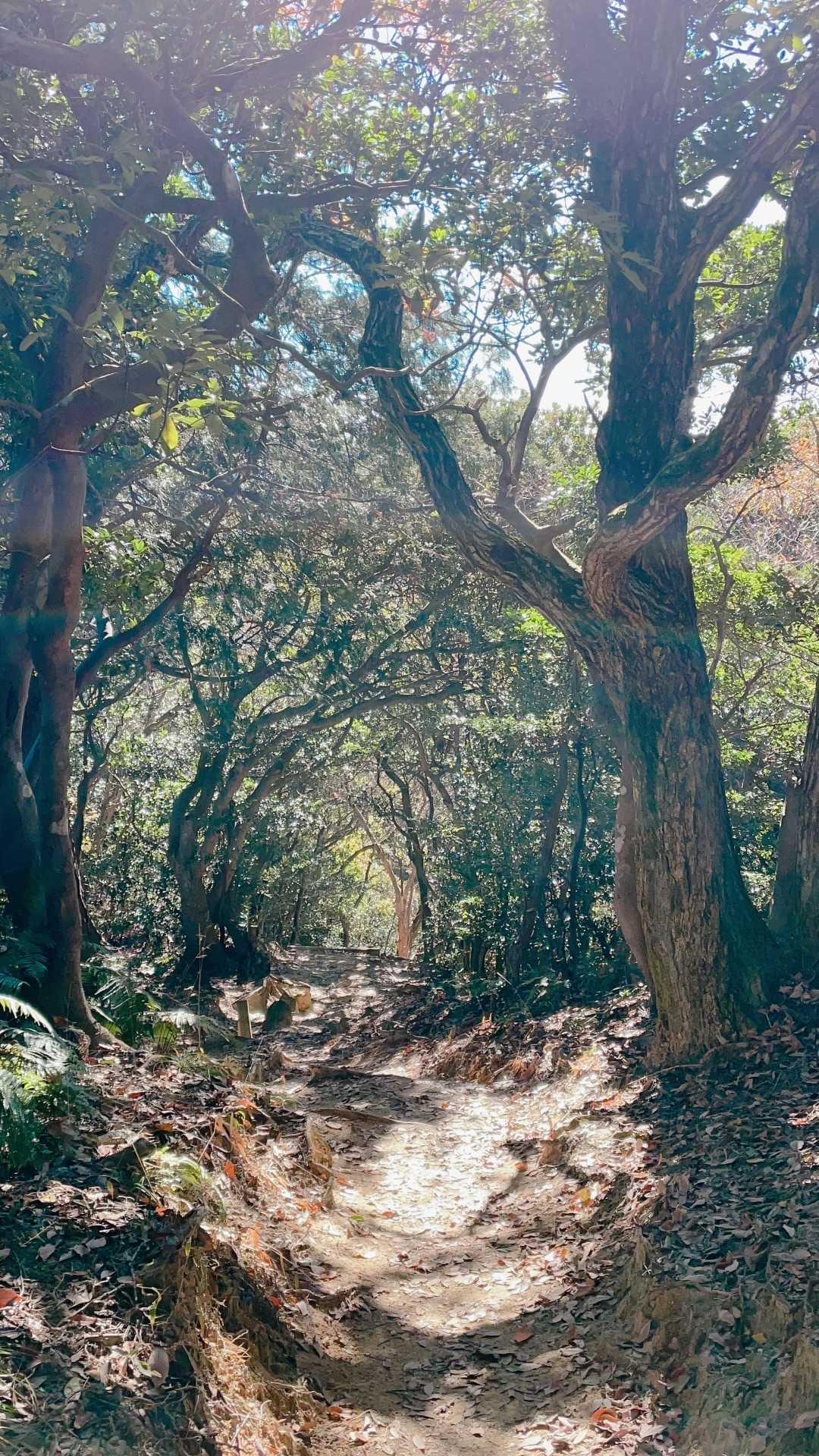 さぁ、休む間もなく高地山へ🚶‍♀️🚶‍♂️