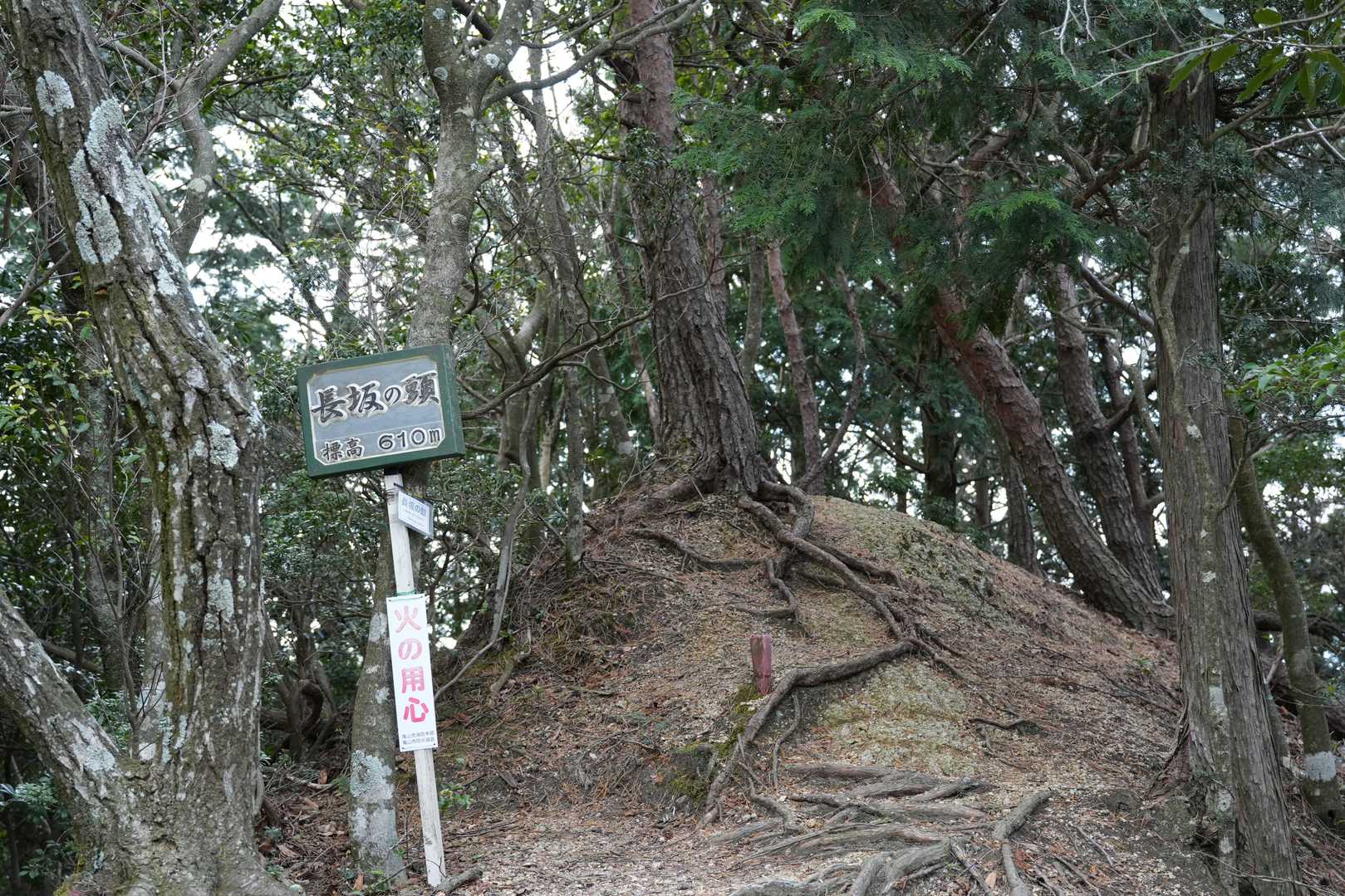 臼杵山登山口-長坂の頭-船石-小太郎峠-臼杵ヶ岳 周回コースの写真