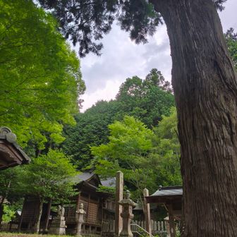 無事下山しました💦
しんどかったよー