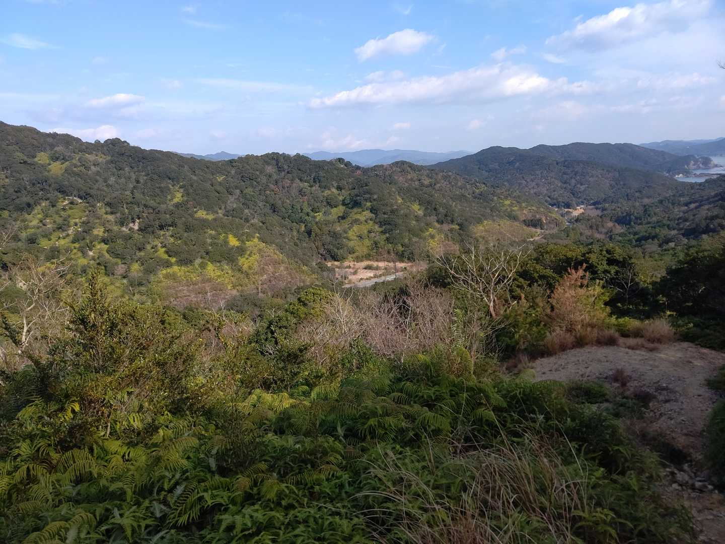 山が青々していて冬と言うより春か初夏のような感じ😊