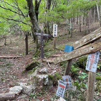 激降りして、二蔵宿に…