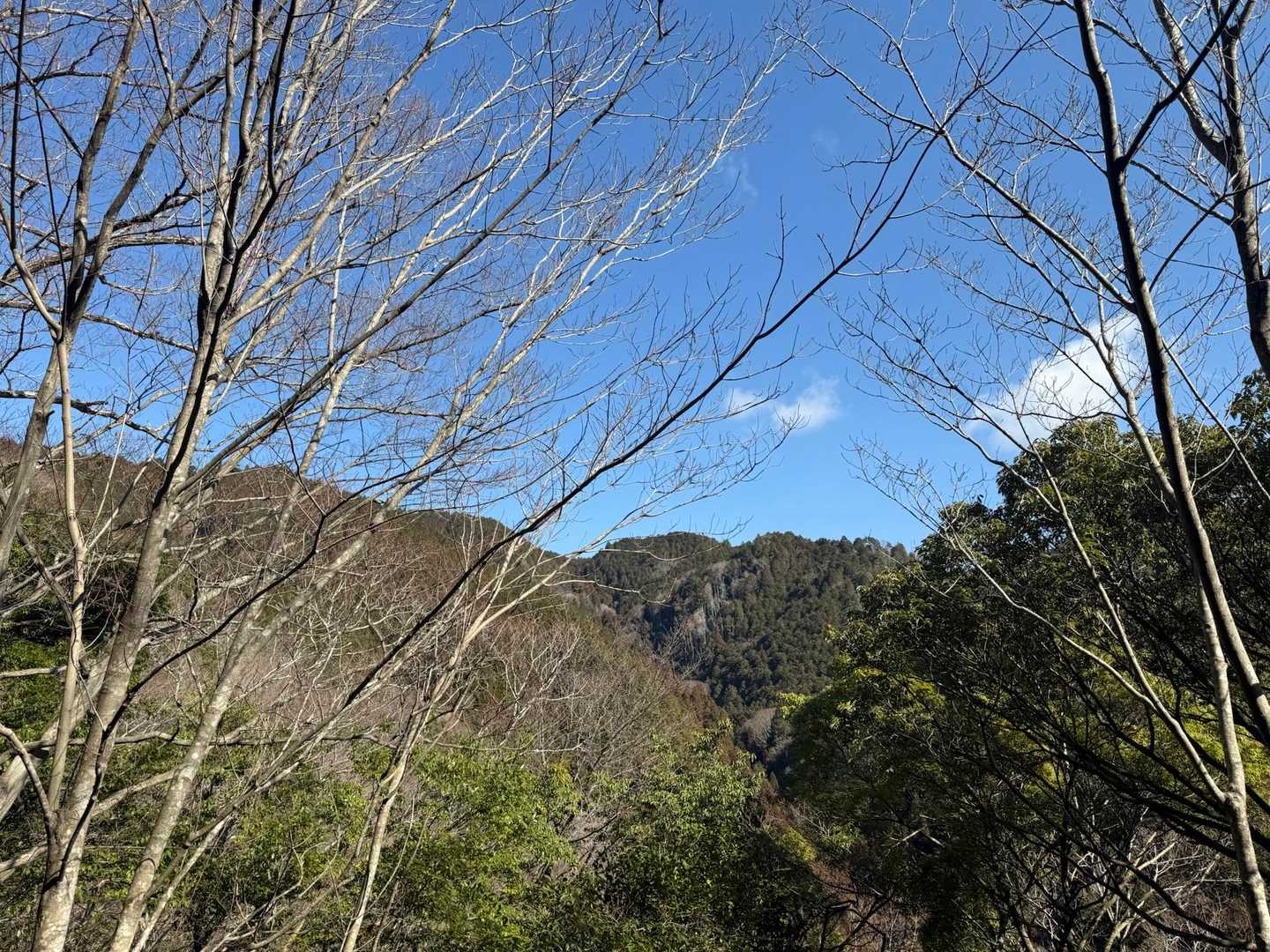 天気は最高で、少し肌寒い中スタート