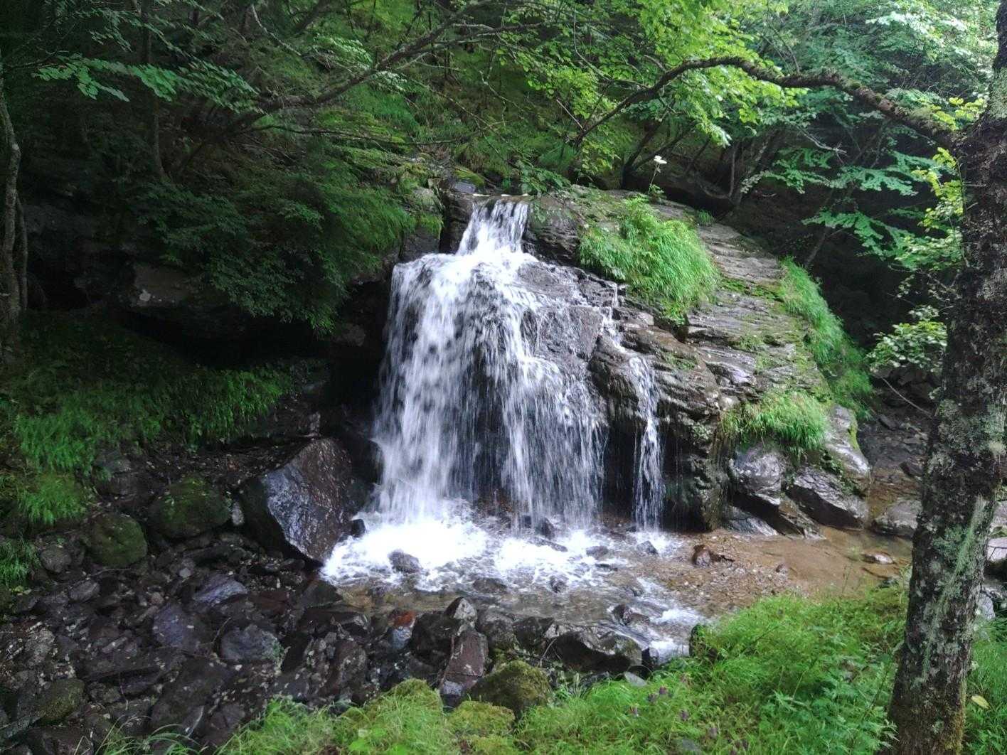桜平ゲート-桜平登山口-根石岳 周回コースの写真
