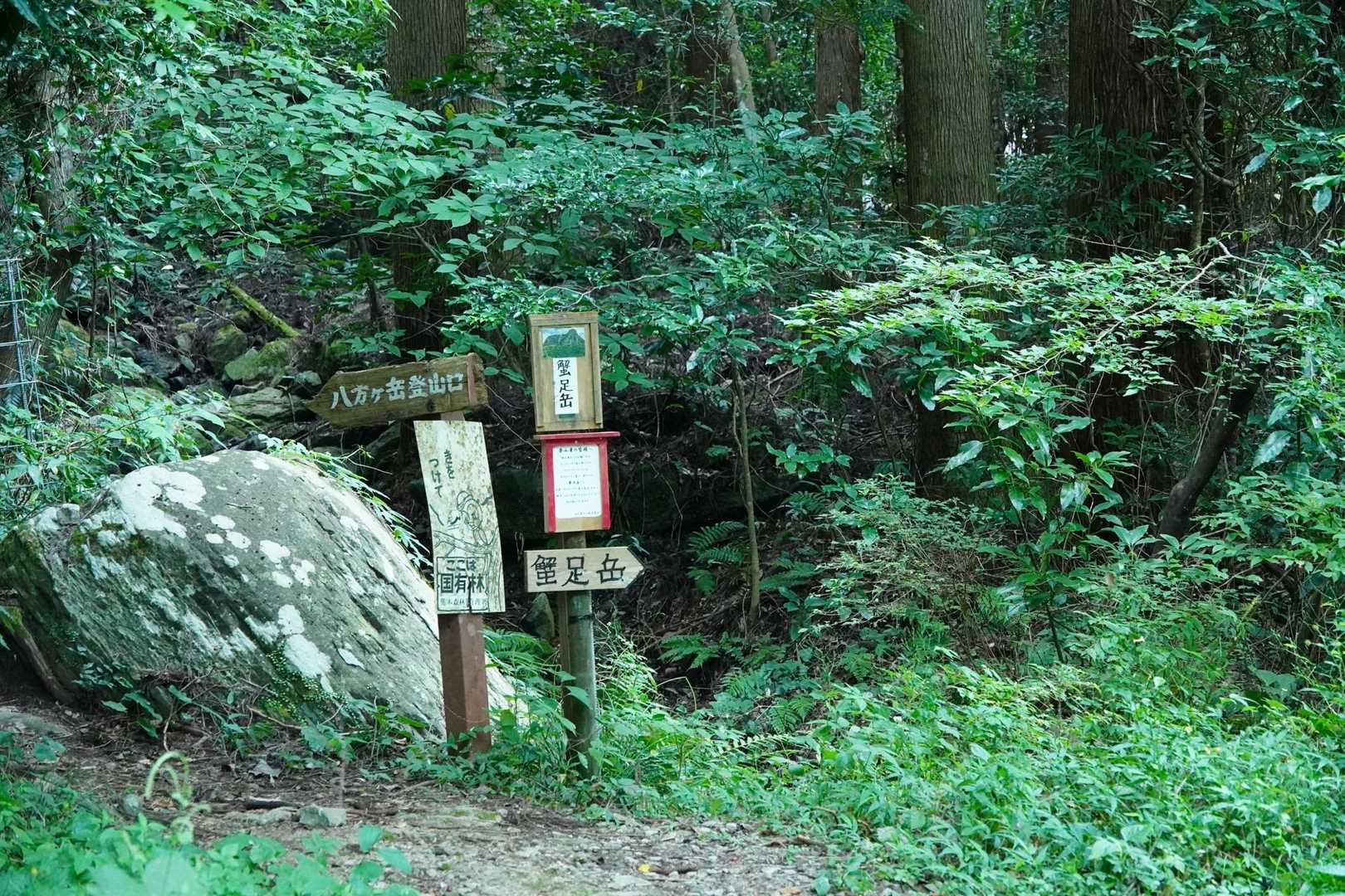 沢コースから🫡
