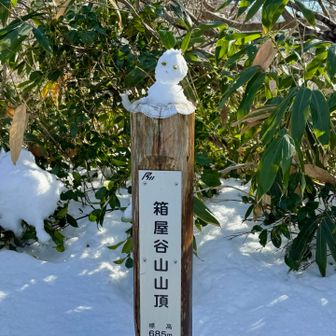 箱屋谷山に初登頂〜╰(*´︶`*)╯♡

山友さんたちの力作✨
可愛い雪うさぎさん🐇🩷

標高685m