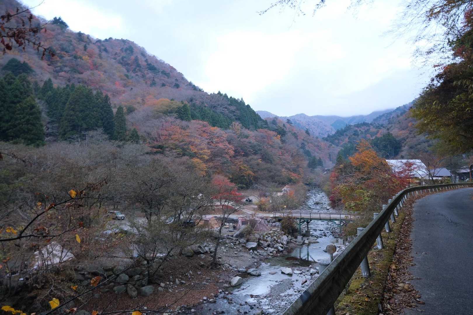 紅葉🍁見れた