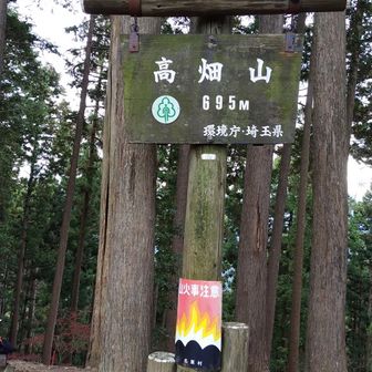 高畑山。少し暖かくなったかな。