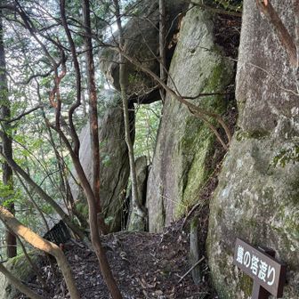 蟻の塔渡り
けっこうスリリング😊♫