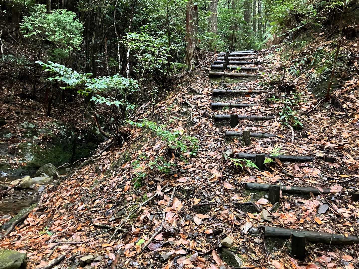 レポ通り整備されたコース