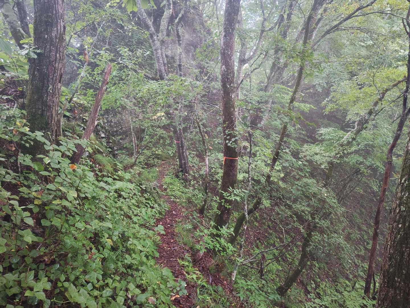 次は砂鉢山へ
ここも破線なので慎重に