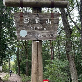 カントリーマアムは、バニラ派