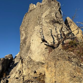 オベリスクを裏から撮影
賽の河原からオベリスクまでショートカットしたらとんでもない藪漕ぎになってしまい、痩せ尾根伝いになんとか到着しました