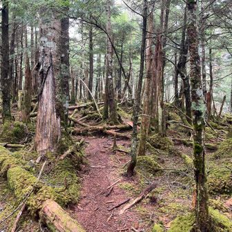 和名倉山山頂①