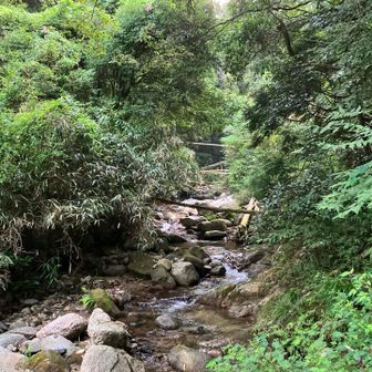 沢沿いを歩くので涼しげ。