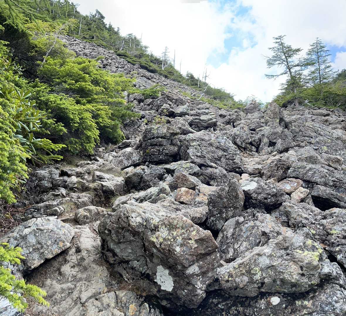 しばらく、この光景が続きます。