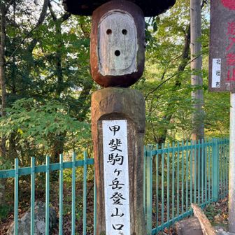 今日はここから😮