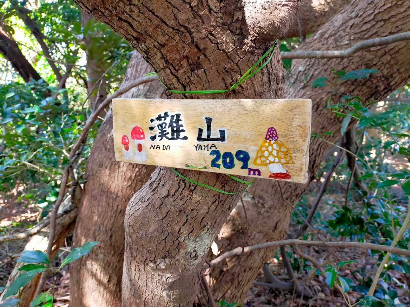 山頂♪かわいい✨
ここは眺望なし。