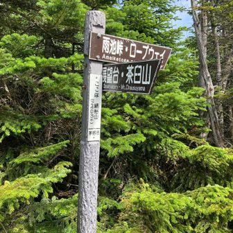 縞枯山山頂？