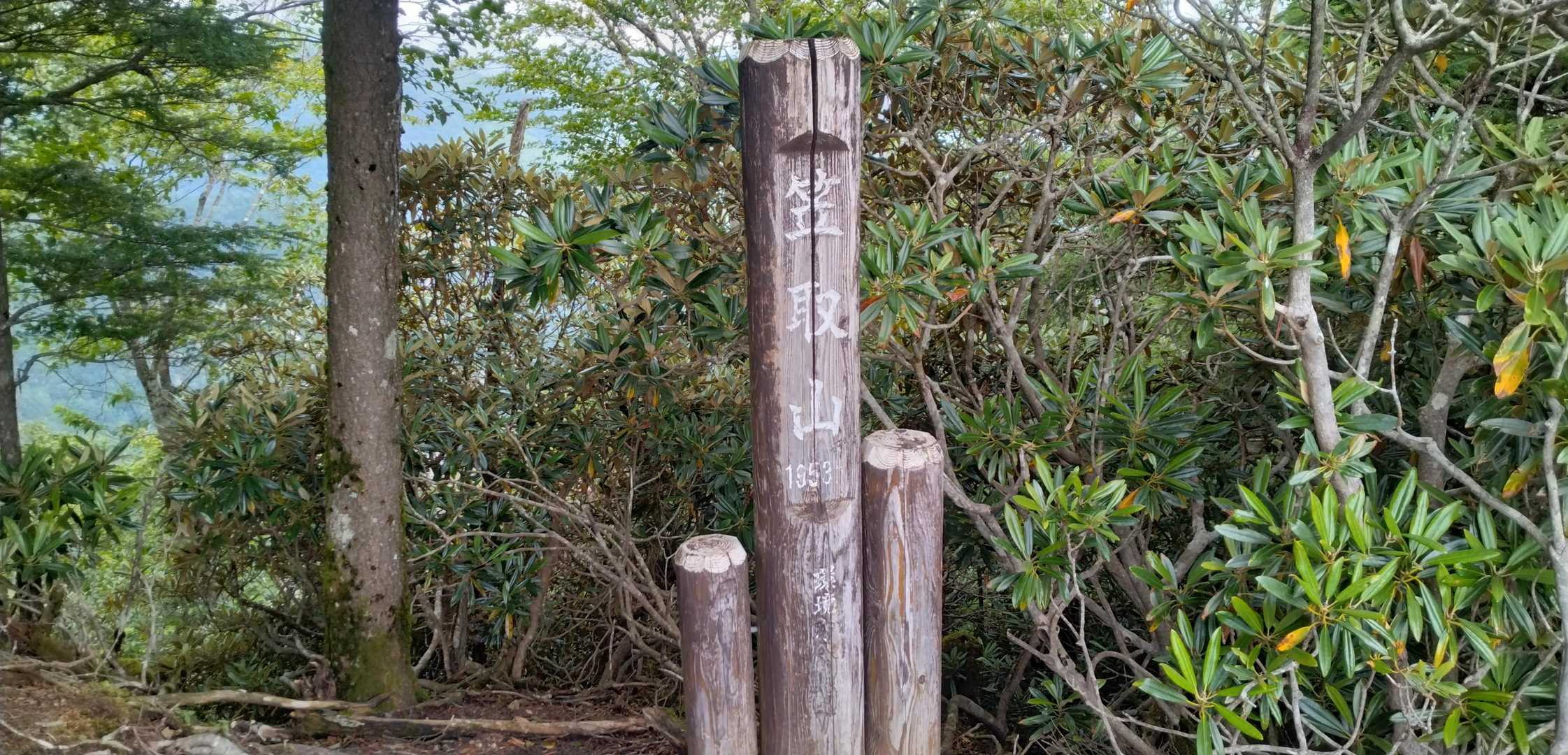 もう一つの笠取山頂到着。
ここもピーク(東峰？)にして欲しい。
#埼玉県の山50
