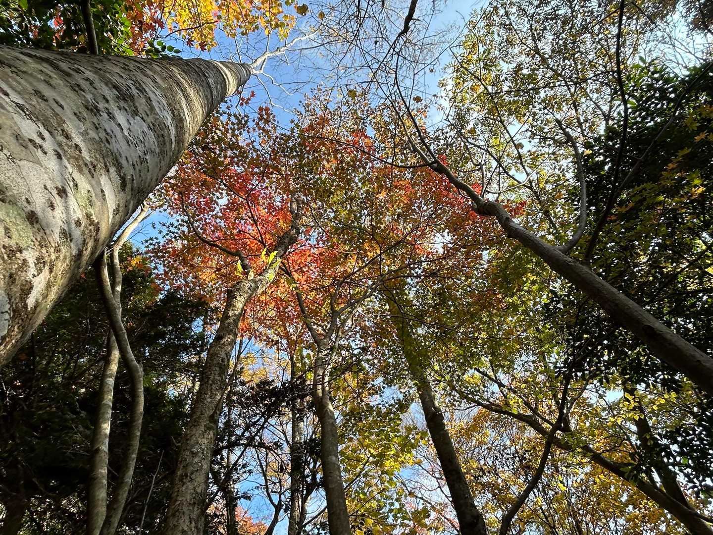 360度秋を感じる🍂